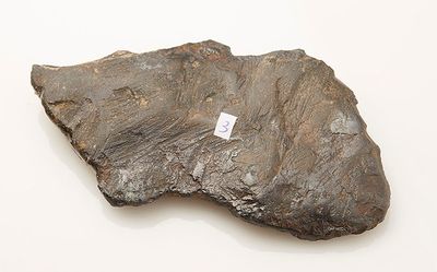 Une météorite chondrite. Pd: 211g Dim maxi: 14,3cm