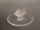 a white bird sitting on top of a glass plate