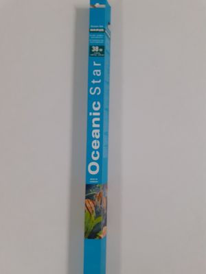 un gros plan d'un tube de dentifrice posé sur une surface blanche