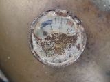 a close up view of a meter in a pot
