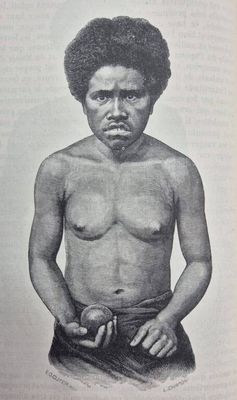 dessin représentant un homme noir aux cheveux afro, torse nu