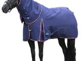 a horse that is wearing a blue blanket