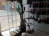 une vitrine contenant un arbre, dans un magasin