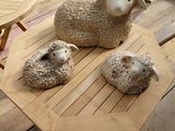 trois moutons assis sur une table en bois posée sur un plancher en bois