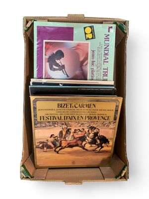 une boîte en carton contenant tout un tas de livres