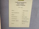 Photo 2/2 du lot