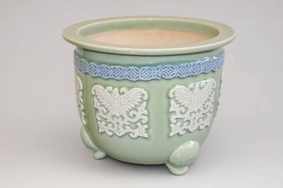 un pot vert orné d'un motif blanc