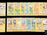 Plusieurs cartes Pokémon sont alignées les unes à côté des autres sur un fond noir.