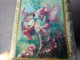 someone is holding a box with a picture of a fairy on it