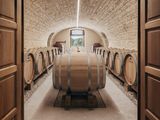 many barrels of wine sitting in a wine cellar