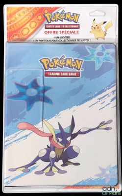 Portfolio Pokémon pour 180 cartes.