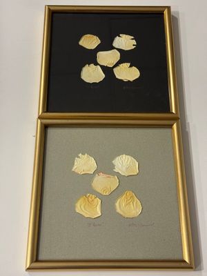 deux photos encadrées représentant des coquillages accrochées au mur