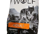 wolf adult dry dog food with lamb and rice in a bag