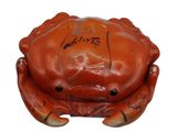 a crab that is sitting on top of a table