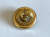 a gold button with a picture of a horse on it