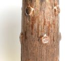 a brown vase with holes in it on a white surface