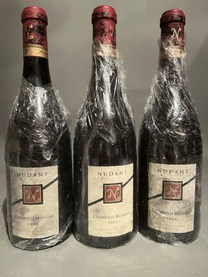 three bottles of wine wrapped in plastic sitting on a counter