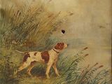 tableau représentant un chien brun et blanc dans un champ herbeux, avec un oiseau dans le ciel