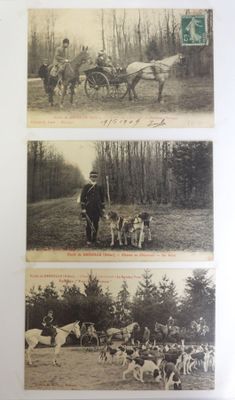 deux vieilles photos en noir et blanc représentant une calèche et un groupe de chiens