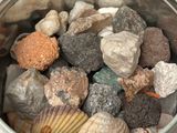 a bucket full of rocks and shells on a table