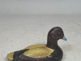 a small duck that is sitting on the ground