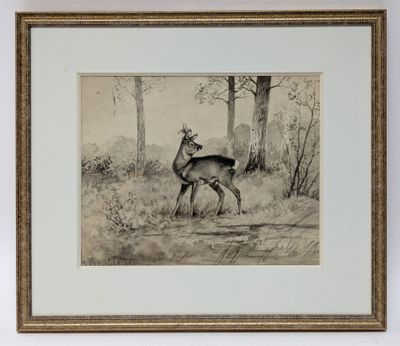 an old picture of a deer in a wooded area with trees in the background