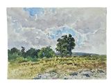 watercolor painting of a field with a lone tree in the distance