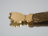 a gold bracelet with a brown ribbon and a gold buckle