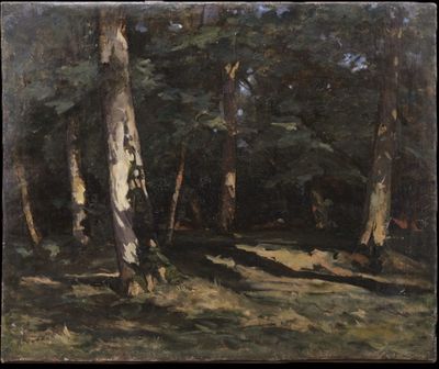tableau représentant une zone boisée avec des arbres et le soleil qui brille sur le sol