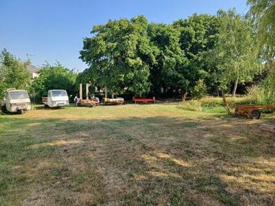 many vehicles parked in a field with trees in the background