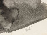 a black and white photo of a cat laying on a rug