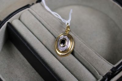 a necklace that is sitting inside of a case