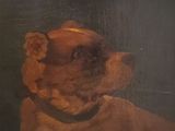 tableau représentant un chien brun avec un collier noir, assis devant un fond noir