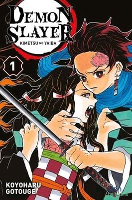 demon slayer, volume 1
