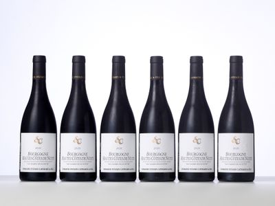 six bouteilles de vin rouge alignées sur une table
