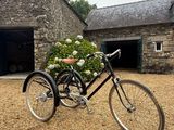 a bicycle with a basket of flowers on the back of it