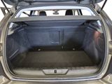 a trunk of a car with the back door open