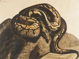dessin représentant un serpent sur un rocher, sur lequel se trouve un autre serpent