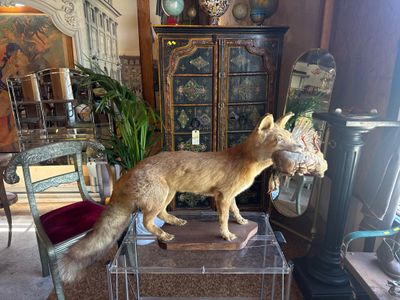 a fake fox standing on top of a chair in a living room