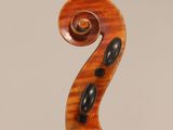 a close up of the back of a violin with a fiddle in the foreground