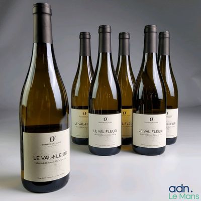 six bouteilles de vin sont alignées sur une table
