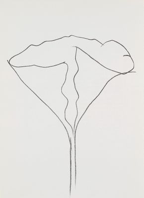 an image of a drawing of a flower on a white paper