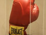 une vitrine contenant un gant de boxe rouge