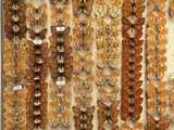 a lot of butterflies that are hanging on the wall