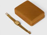 an image of a watch and a watch case on a white surface