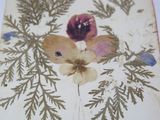 an open book with a picture of a flower on it