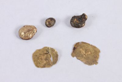 PAS D'ENCHERES LIVE - FRAIS 5% HT. Petit lot d'or probablement issu de