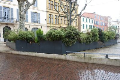 SUR DESIGNATION : Un ensemble de vingt-deux bacs avec plante…