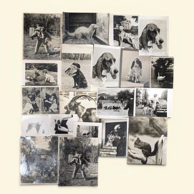 DIM, Henri DIMONT et divers Collection de photographies anci…