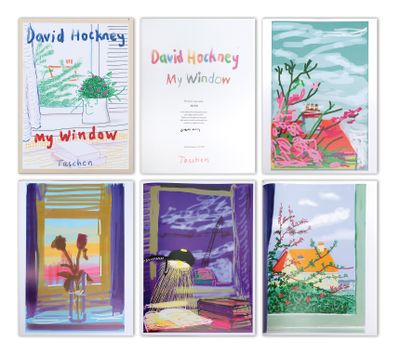 six books of david hocheny ' s my window are lined up